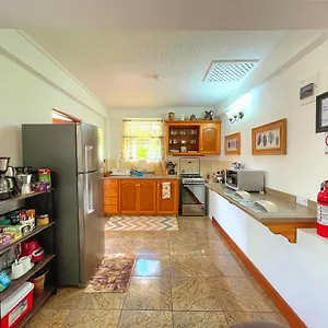 https://the-suite-spot-apartment.comcaribbean.com